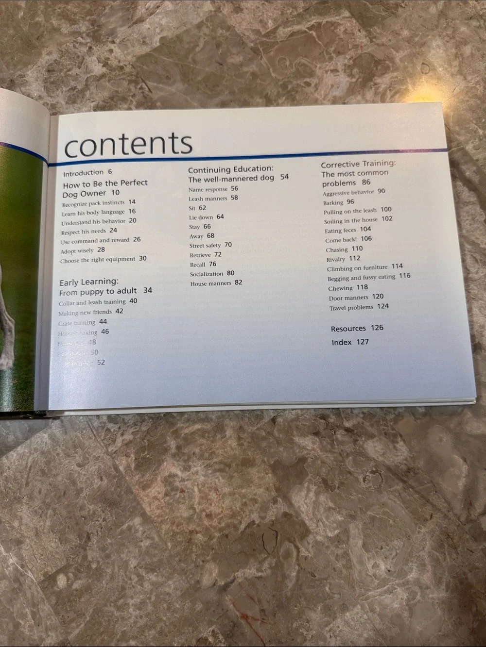 Dog Training in No Time - Golden Cover Hardcover